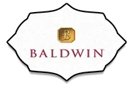 logo-image logo-image - brands-top-baldwin
